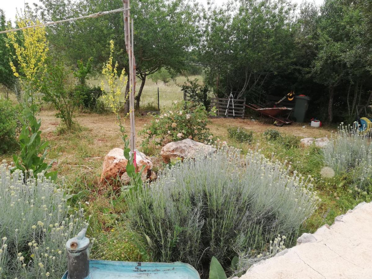 B&B Giovannarolla Green House Ostuni Buitenkant foto