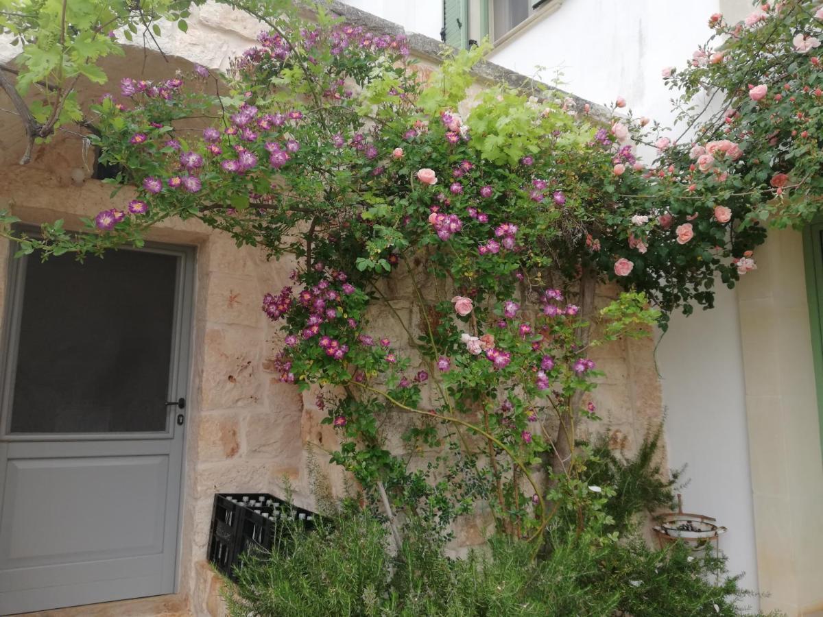 B&B Giovannarolla Green House Ostuni Buitenkant foto