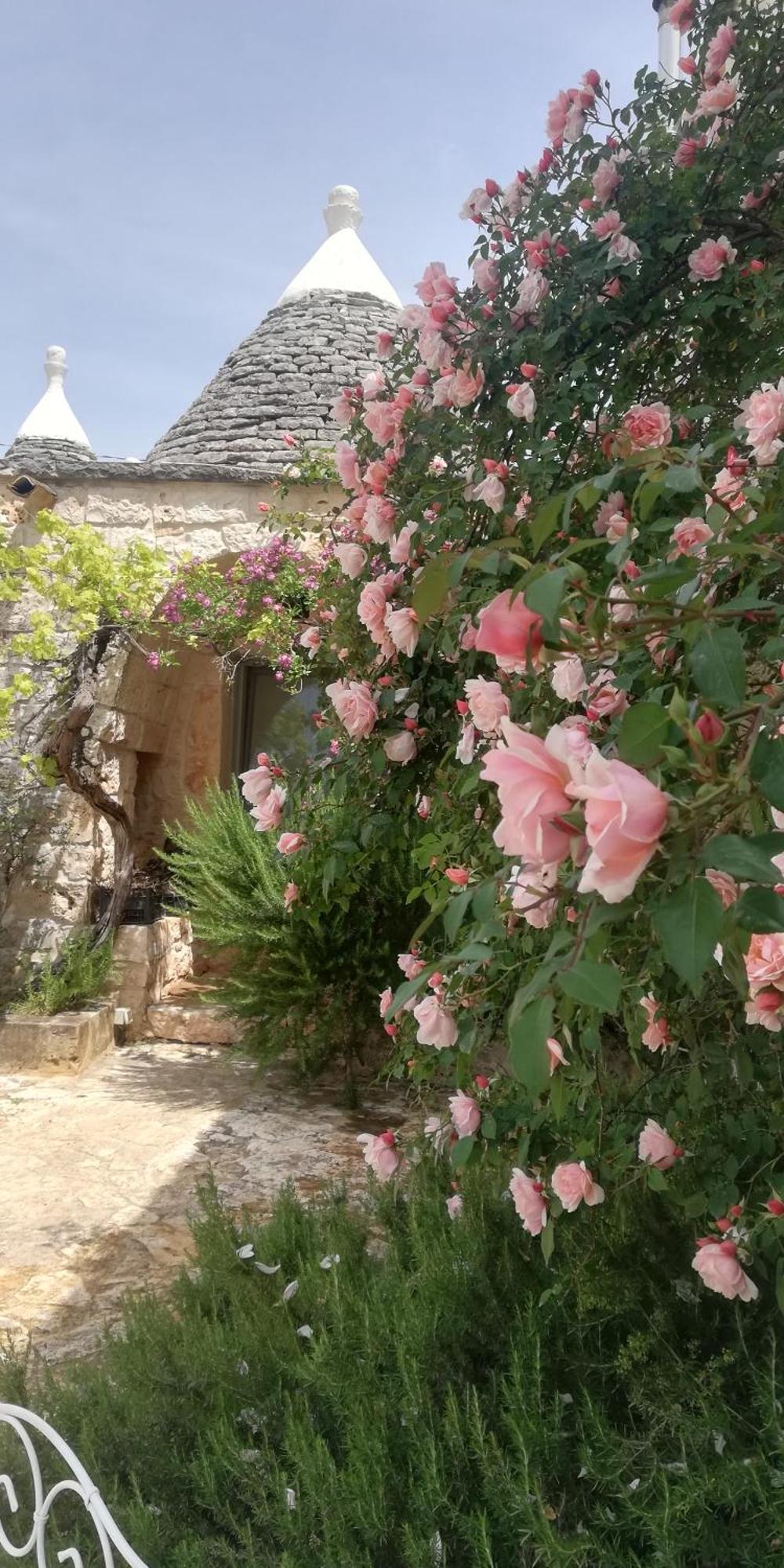 B&B Giovannarolla Green House Ostuni Buitenkant foto
