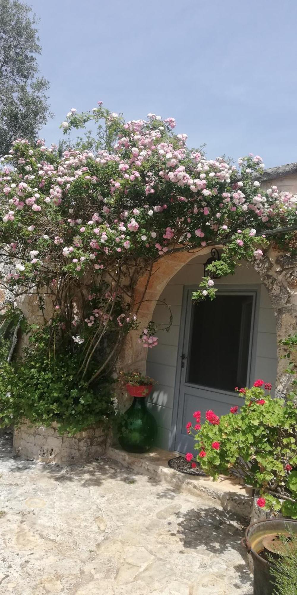 B&B Giovannarolla Green House Ostuni Buitenkant foto