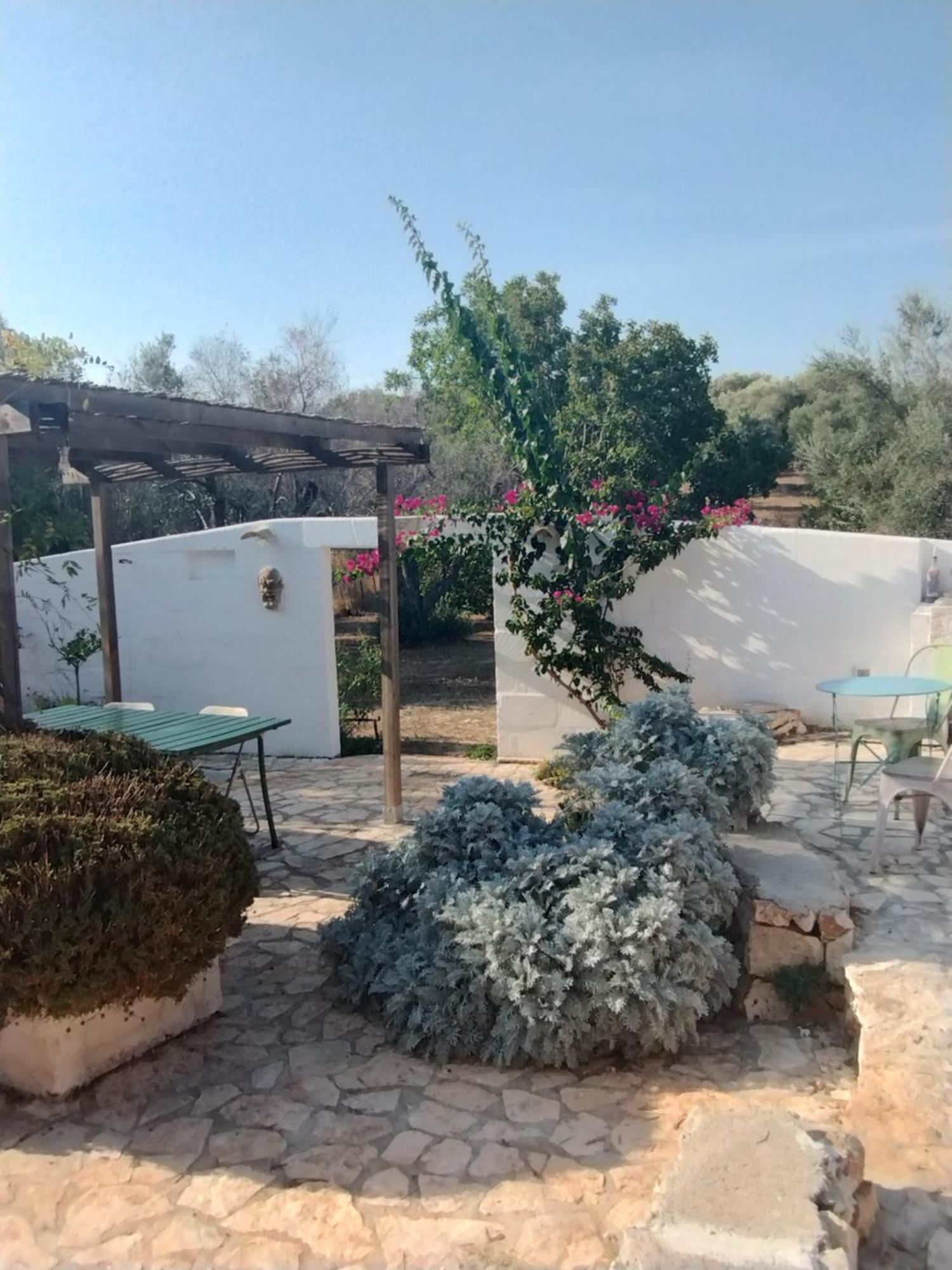 B&B Giovannarolla Green House Ostuni Buitenkant foto
